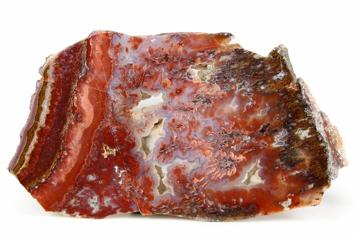 Polished Sicat Plume Agate Slab - Cady Mountains, California #184953